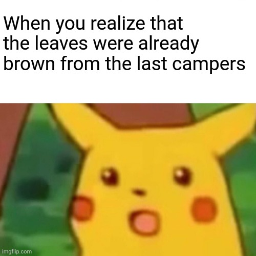 Surprised Pikachu Meme | When you realize that the leaves were already brown from the last campers | image tagged in memes,surprised pikachu | made w/ Imgflip meme maker