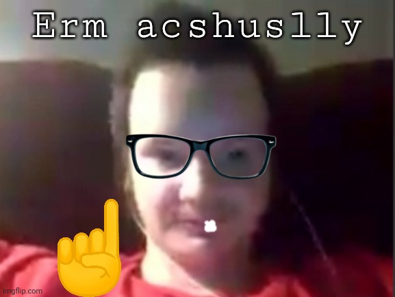 , | Erm acshuslly | made w/ Imgflip meme maker