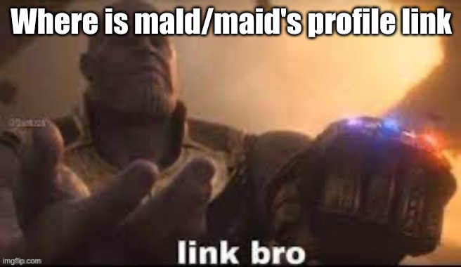 link bro | Where is mald/maid's profile link | image tagged in link bro | made w/ Imgflip meme maker