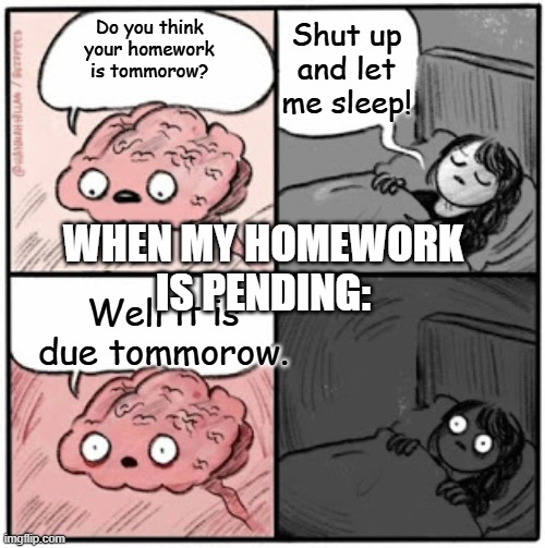 Brain before sleep | Shut up and let me sleep! Do you think your homework is tommorow? Well it is due tommorow. WHEN MY HOMEWORK IS PENDING: | image tagged in brain before sleep | made w/ Imgflip meme maker