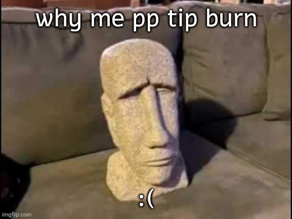 sad moyai | why me pp tip burn; :( | image tagged in sad moyai | made w/ Imgflip meme maker