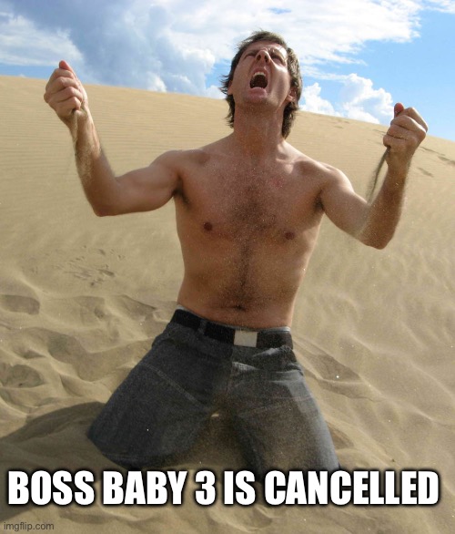 NOOOOOOO!!!!! | BOSS BABY 3 IS CANCELLED | image tagged in nooooooo | made w/ Imgflip meme maker