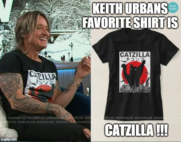 memes by Brad - Keith Urban's favorite shirt is Catzilla | KEITH URBANS FAVORITE SHIRT IS; CATZILLA !!! | image tagged in cats,kittens,shirt,funny,humor,play on words | made w/ Imgflip meme maker