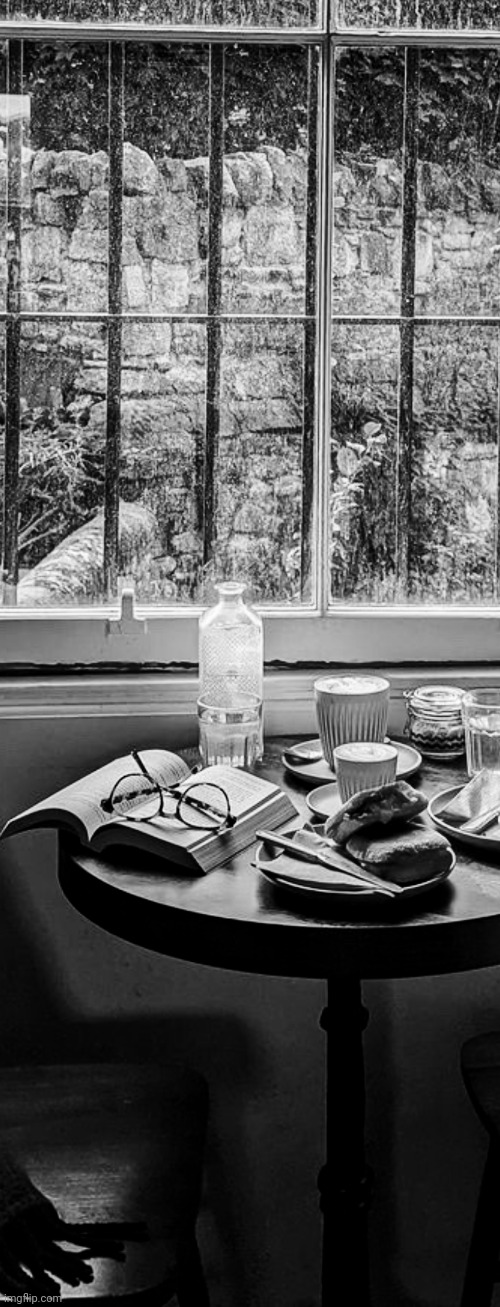 View. | image tagged in photography,relaxing,scene,food,window,reading | made w/ Imgflip meme maker