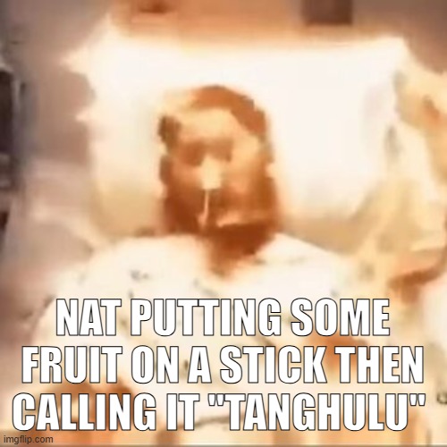 Markiplier on fire | NAT PUTTING SOME FRUIT ON A STICK THEN CALLING IT "TANGHULU" | image tagged in markiplier on fire | made w/ Imgflip meme maker