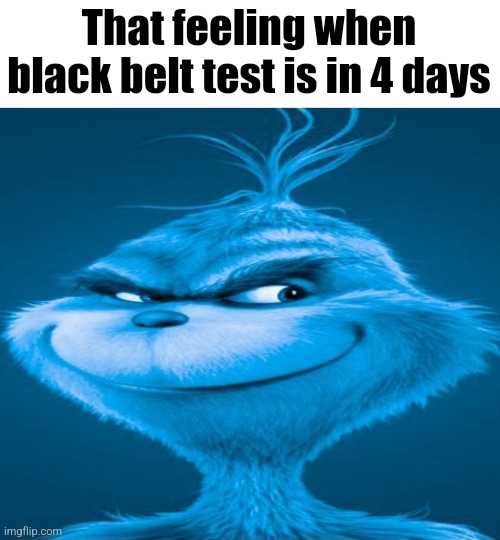 Blue Grinch | That feeling when black belt test is in 4 days | image tagged in blue grinch | made w/ Imgflip meme maker