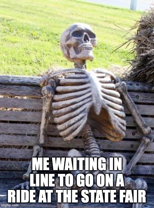 Waiting Skeleton | ME WAITING IN LINE TO GO ON A RIDE AT THE STATE FAIR | image tagged in memes,waiting skeleton | made w/ Imgflip meme maker