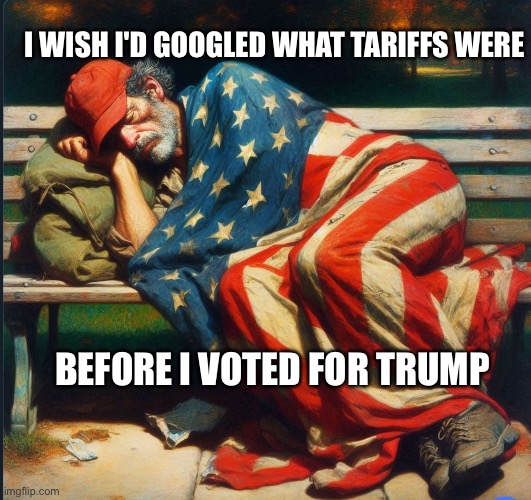 Maga voted for their own destruction | I WISH I'D GOOGLED WHAT TARIFFS WERE; BEFORE I VOTED FOR TRUMP | image tagged in trump's tariffs made maga poor | made w/ Imgflip meme maker