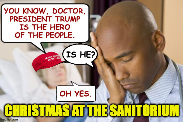 When it's wrong to let them vegetate, but they're still talking. | YOU KNOW, DOCTOR,
PRESIDENT TRUMP
IS THE HERO
OF THE PEOPLE. IS HE? OH YES. CHRISTMAS AT THE SANITORIUM | image tagged in memes,maga,christmas | made w/ Imgflip meme maker