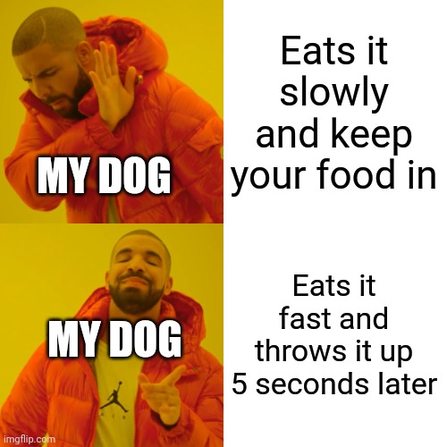 Drake Hotline Bling Meme | Eats it slowly and keep your food in Eats it fast and throws it up 5 seconds later MY DOG MY DOG | image tagged in memes,drake hotline bling | made w/ Imgflip meme maker