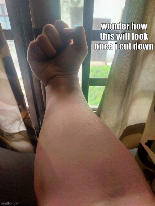 little forearm pic | wonder how this will look once i cut down | made w/ Imgflip meme maker