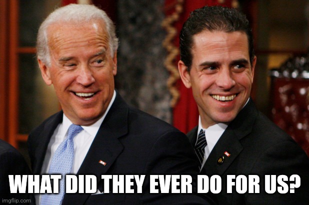 Hunter Biden Crack Head | WHAT DID THEY EVER DO FOR US? | image tagged in hunter biden crack head | made w/ Imgflip meme maker