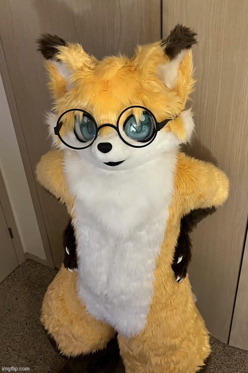 Fox does NOT approve of your height sorry...(Pic credit: CatalopeSeats) | image tagged in kemono,fox,furry,cute,wholesome,cartoon | made w/ Imgflip meme maker