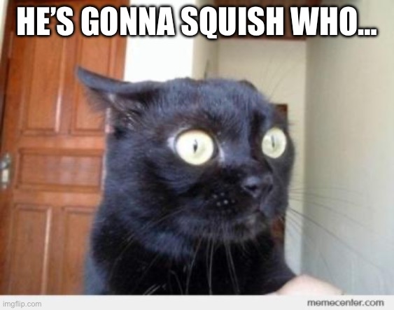 Scared Cat | HE’S GONNA SQUISH WHO… | image tagged in scared cat | made w/ Imgflip meme maker