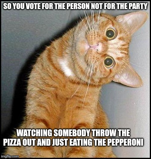 SO YOU VOTE FOR THE PERSON NOT FOR THE PARTY | image tagged in cats,politics | made w/ Imgflip meme maker