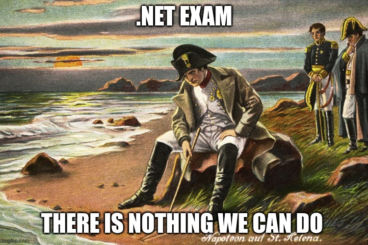 Exam | .NET EXAM; THERE IS NOTHING WE CAN DO | image tagged in there is nothing we can do | made w/ Imgflip meme maker