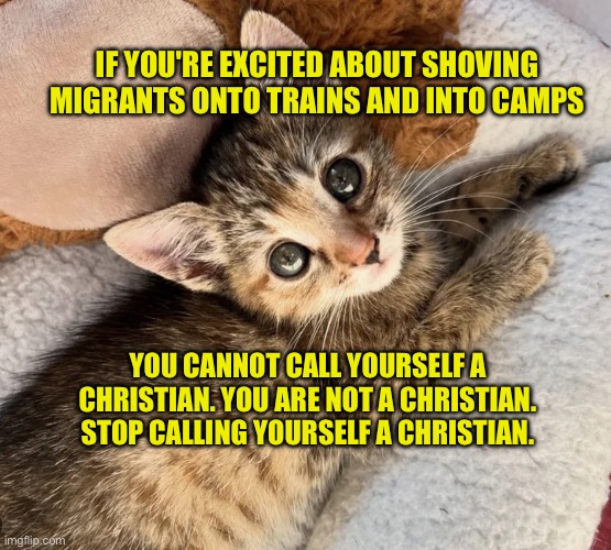 Christians don't deport human beings for being poor | IF YOU'RE EXCITED ABOUT SHOVING MIGRANTS ONTO TRAINS AND INTO CAMPS; YOU CANNOT CALL YOURSELF A CHRISTIAN. YOU ARE NOT A CHRISTIAN. STOP CALLING YOURSELF A CHRISTIAN. | image tagged in undying adoration kitten | made w/ Imgflip meme maker