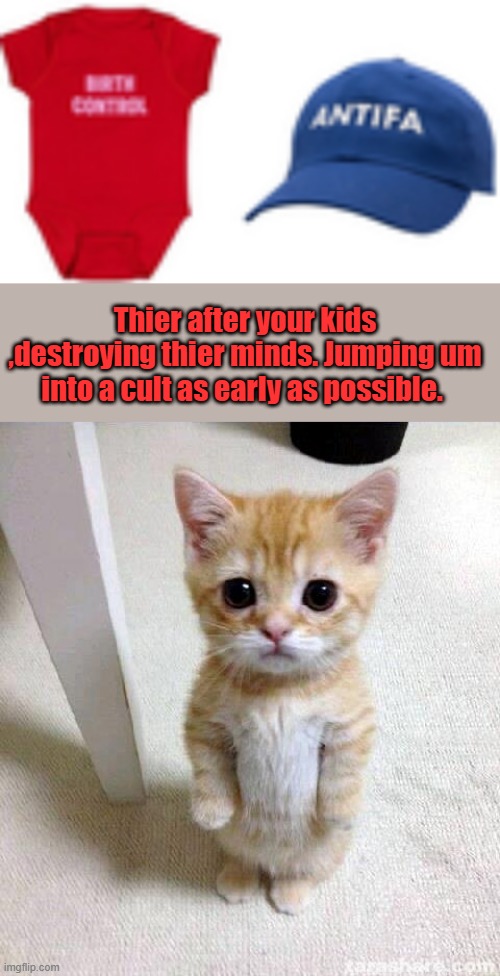 Teach um  the joy of belonging to a cult of hate | Thier after your kids ,destroying thier minds. Jumping um into a cult as early as possible. | image tagged in memes,cute cat | made w/ Imgflip meme maker