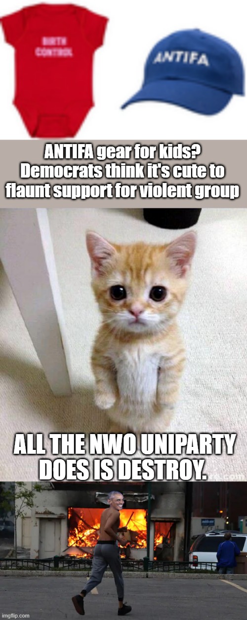 Destroy thier minds young & teach um to hate others while thier young. | ANTIFA gear for kids? Democrats think it's cute to flaunt support for violent group; ALL THE NWO UNIPARTY DOES IS DESTROY. | image tagged in memes,cute cat | made w/ Imgflip meme maker