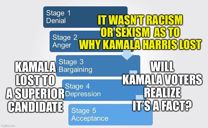 Let’s make a brighter future. Together! | IT WASN’T RACISM OR SEXISM  AS TO WHY KAMALA HARRIS LOST; WILL KAMALA VOTERS REALIZE IT’S A FACT? KAMALA LOST TO A SUPERIOR CANDIDATE | image tagged in 5 stages of grief | made w/ Imgflip meme maker