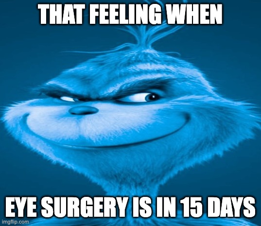 That feeling when eye surgery is in 15 days | THAT FEELING WHEN; EYE SURGERY IS IN 15 DAYS | image tagged in blue grinch | made w/ Imgflip meme maker