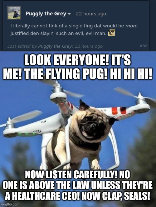 LOOK EVERYONE! IT'S ME! THE FLYING PUG! HI HI HI! NOW LISTEN CAREFULLY! NO ONE IS ABOVE THE LAW UNLESS THEY'RE A HEALTHCARE CEO! NOW CLAP, SEALS! | image tagged in flying pug | made w/ Imgflip meme maker