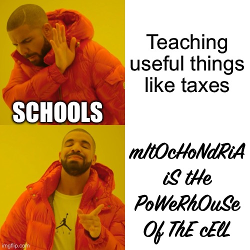 Schools be like | Teaching useful things like taxes; SCHOOLS; mItOcHoNdRiA iS tHe PoWeRhOuSe Of ThE cElL | image tagged in memes,drake hotline bling | made w/ Imgflip meme maker