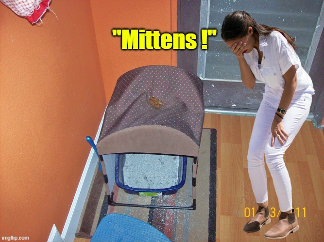 "Mittens !" | made w/ Imgflip meme maker