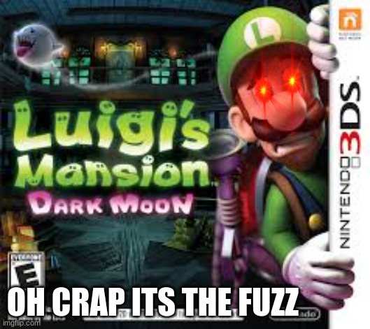 Luigi Mangione meme | OH CRAP ITS THE FUZZ | image tagged in memes,super mario,luigi,assassination chain,crime | made w/ Imgflip meme maker