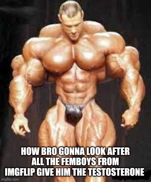 Bodybuilding | HOW BRO GONNA LOOK AFTER ALL THE FEMBOYS FROM IMGFLIP GIVE HIM THE TESTOSTERONE | image tagged in bodybuilding | made w/ Imgflip meme maker