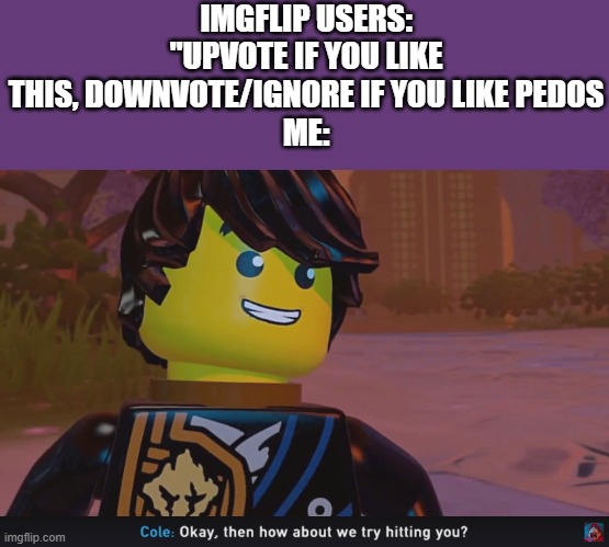 If you say that I support bad things, then I can support hitting you! Simple! | IMGFLIP USERS: "UPVOTE IF YOU LIKE THIS, DOWNVOTE/IGNORE IF YOU LIKE PEDOS
ME: | image tagged in cole ninjago,shadow of ronin,how about we try hitting you | made w/ Imgflip meme maker