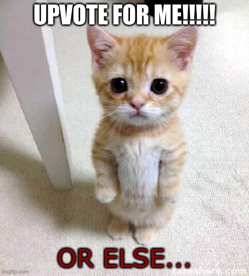 Cute Cat | UPVOTE FOR ME!!!!! OR ELSE... | image tagged in memes,cute cat | made w/ Imgflip meme maker