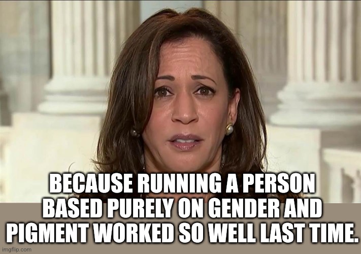 kamala harris | BECAUSE RUNNING A PERSON BASED PURELY ON GENDER AND PIGMENT WORKED SO WELL LAST TIME. | image tagged in kamala harris | made w/ Imgflip meme maker