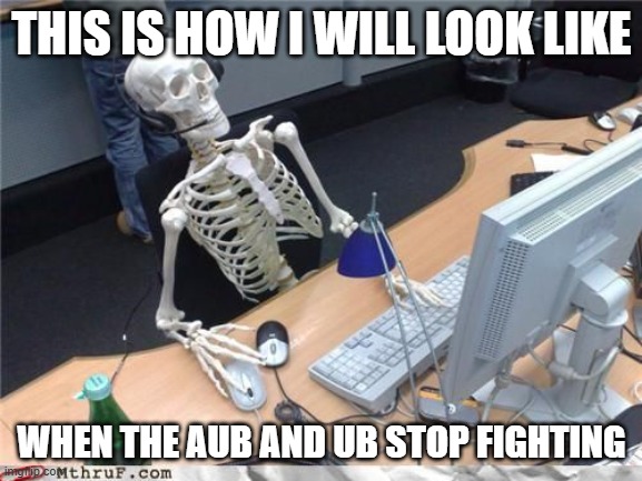 stop | THIS IS HOW I WILL LOOK LIKE; WHEN THE AUB AND UB STOP FIGHTING | image tagged in skeleton computer,aub,ub,stop,bruh,seriously | made w/ Imgflip meme maker