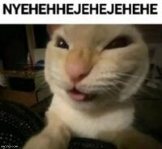 NYEHEHHEJEHEJEHEHE | image tagged in nyehehhejehejehehe | made w/ Imgflip meme maker