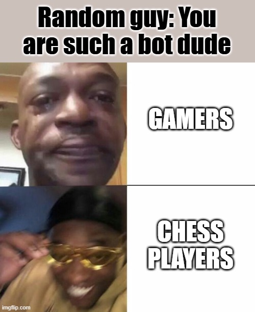 Sad and Happy man | Random guy: You are such a bot dude; GAMERS; CHESS PLAYERS | image tagged in sad and happy man | made w/ Imgflip meme maker