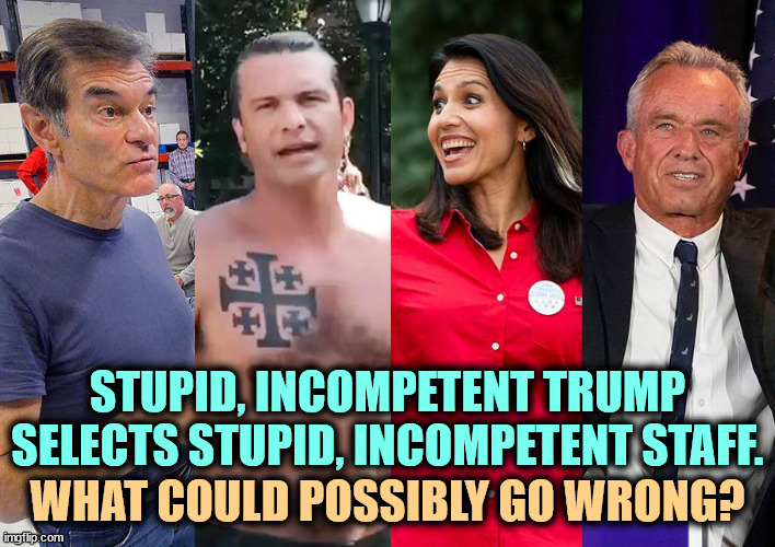 STUPID, INCOMPETENT TRUMP SELECTS STUPID, INCOMPETENT STAFF. WHAT COULD POSSIBLY GO WRONG? | image tagged in trump,maga,stupid,incompetence | made w/ Imgflip meme maker