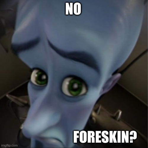 Megamind peeking | NO; FORESKIN? | image tagged in megamind peeking | made w/ Imgflip meme maker