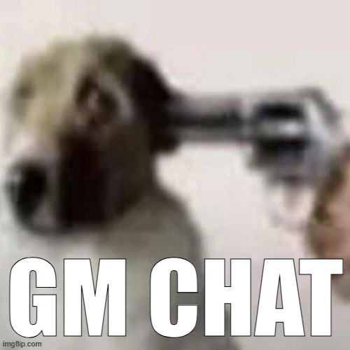 dog gunpoint | GM CHAT | image tagged in dog gunpoint | made w/ Imgflip meme maker