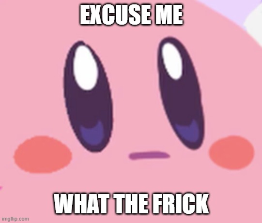 Blank Kirby Face | EXCUSE ME WHAT THE FRICK | image tagged in blank kirby face | made w/ Imgflip meme maker