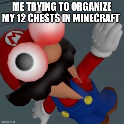 Mayio freakin out | ME TRYING TO ORGANIZE MY 12 CHESTS IN MINECRAFT | image tagged in freak out mario | made w/ Imgflip meme maker