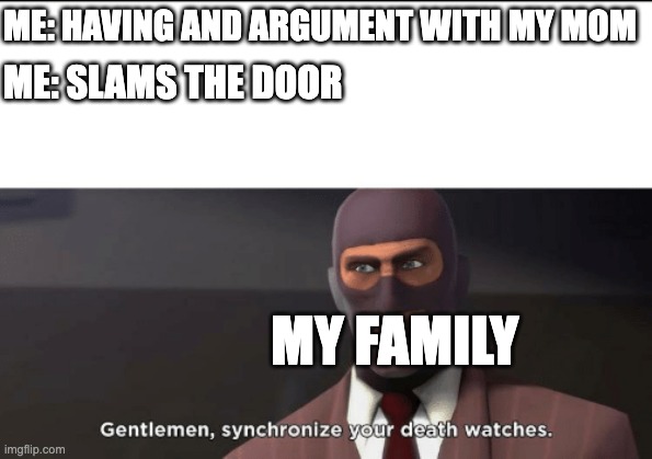 gentlemen, synchronize your death watches | ME: HAVING AND ARGUMENT WITH MY MOM; ME: SLAMS THE DOOR; MY FAMILY | image tagged in gentlemen synchronize your death watches | made w/ Imgflip meme maker