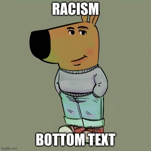 chillguy | RACISM; BOTTOM TEXT | image tagged in chillguy | made w/ Imgflip meme maker