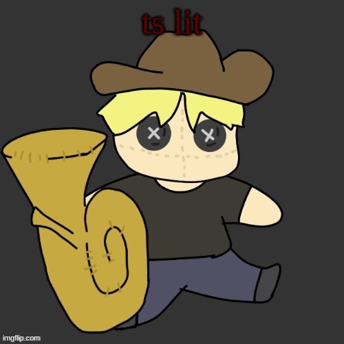 Texas plush (thanks Disco) | ts lit | image tagged in texas plush thanks disco | made w/ Imgflip meme maker