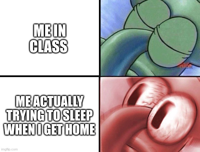 sleeping Squidward | ME IN CLASS; ME ACTUALLY TRYING TO SLEEP WHEN I GET HOME | image tagged in sleeping squidward | made w/ Imgflip meme maker