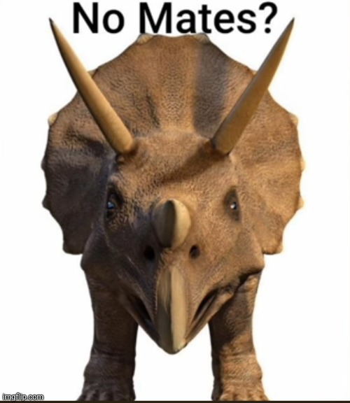 No Mates.mp3 | made w/ Imgflip meme maker