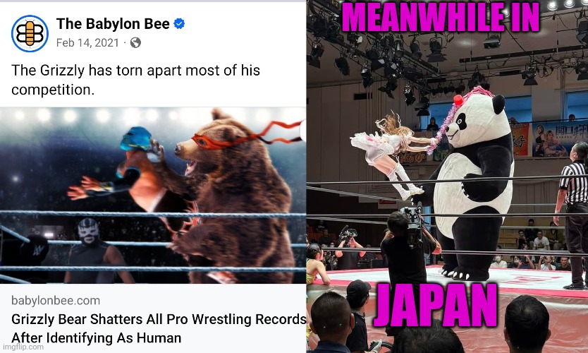 Bear rasslin | MEANWHILE IN; JAPAN | image tagged in wwe,japan | made w/ Imgflip meme maker