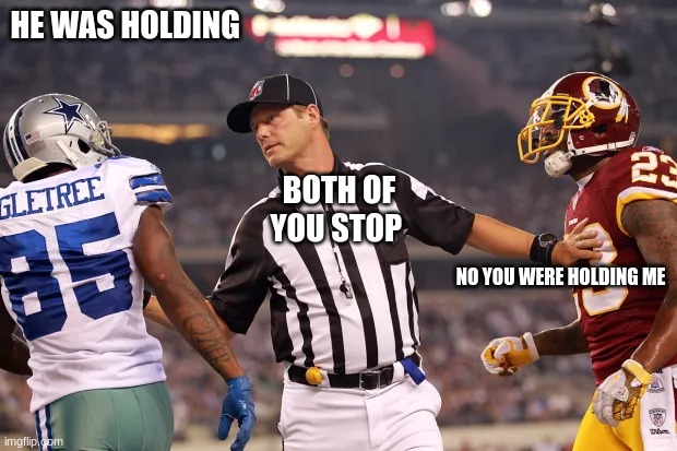 nfl ref | HE WAS HOLDING; BOTH OF YOU STOP; NO YOU WERE HOLDING ME | image tagged in nfl ref | made w/ Imgflip meme maker