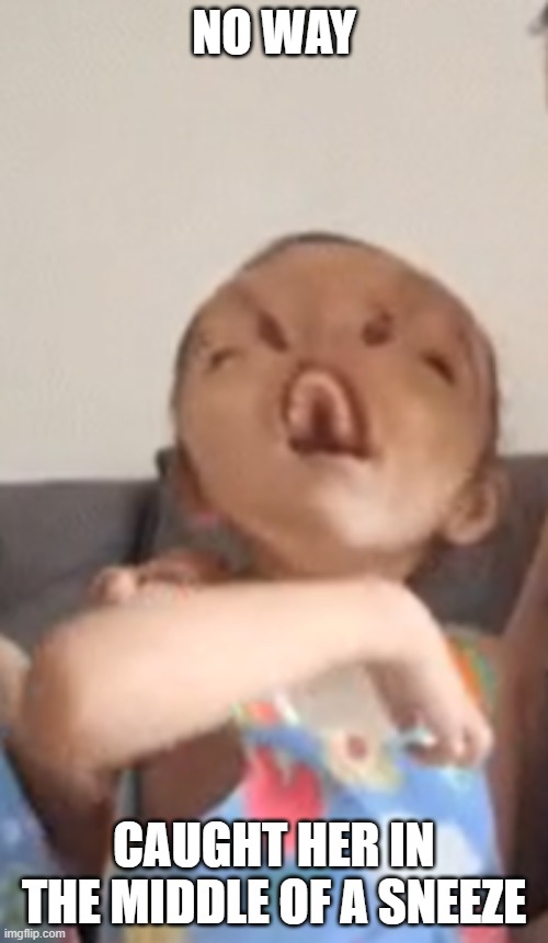 she autisic | NO WAY; CAUGHT HER IN THE MIDDLE OF A SNEEZE | image tagged in autism | made w/ Imgflip meme maker