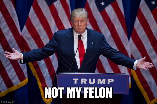 Not My Felon | NOT MY FELON | image tagged in donald trump,political meme,satire,the future | made w/ Imgflip meme maker